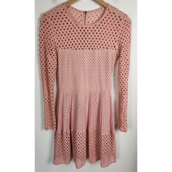 BCBG Max Azria Sz. XS Kyla Whisper Pink Long Sleeve Crochet Fit & Flare Dress - Picture 2 of 8